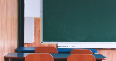 Desafios das vendas para escolas particulares no Brasil